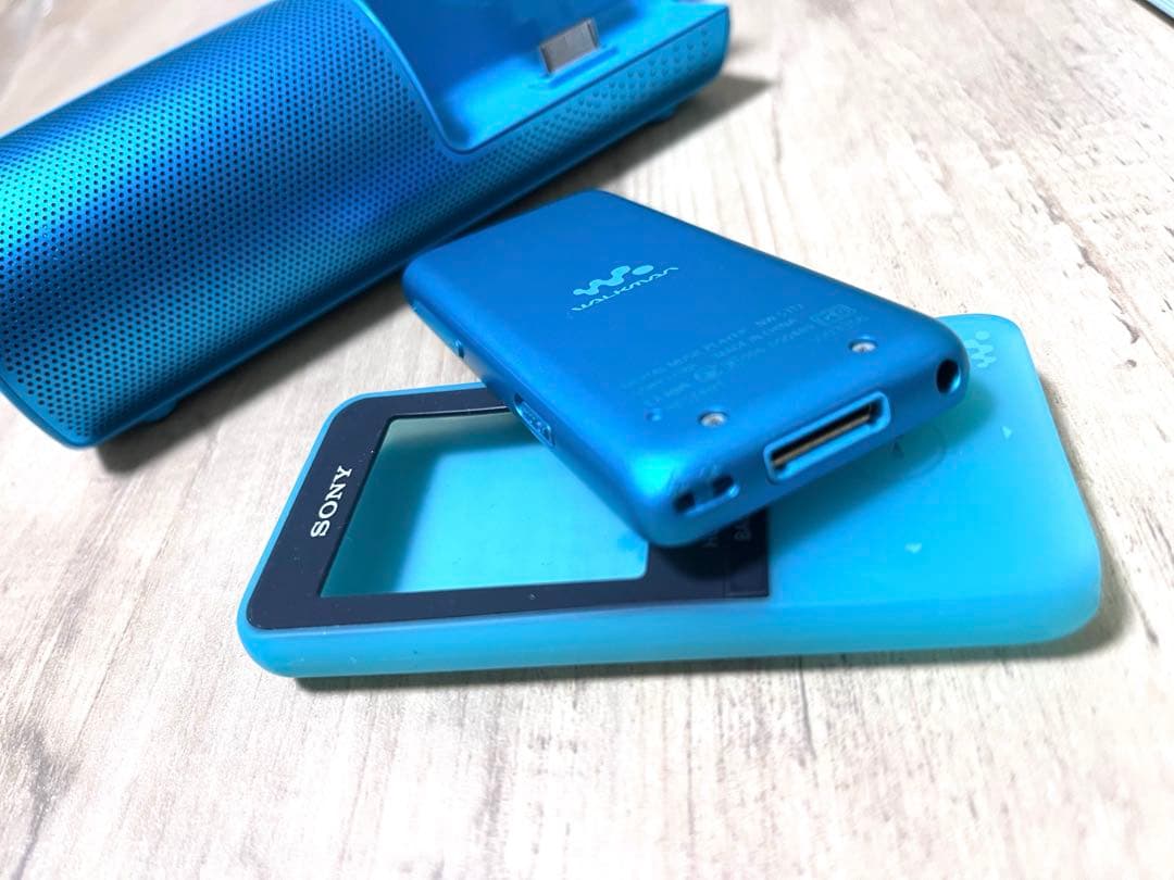 Sony Others Nw-S313