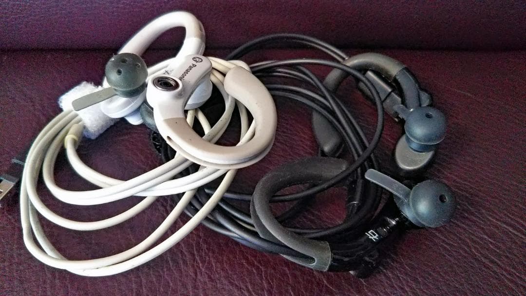 Panasonic Wired Earphone Wh-103Jj