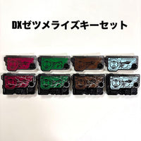Premium Bandai Kamen Rider Dx