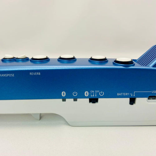 Roland Saxophone Body Ae-01