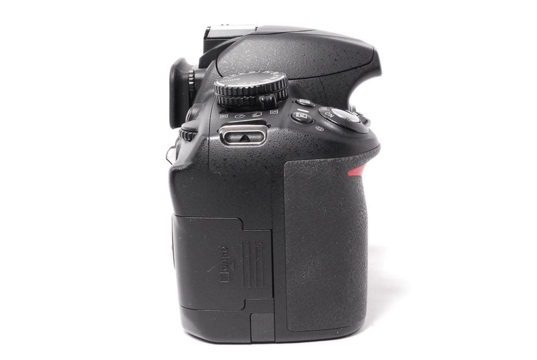 Nikon Digital Slr D3100