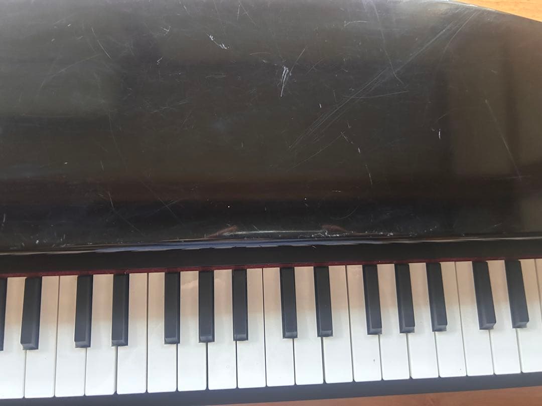 Korg Keyboards Digital Pianos Tinypiano