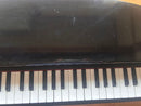 Korg Keyboards Digital Pianos Tinypiano