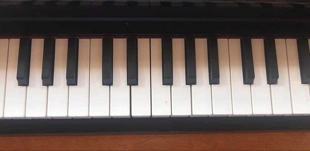 Korg Keyboards Digital Pianos Tinypiano