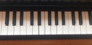 Korg Keyboards Digital Pianos Tinypiano