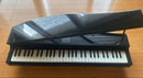 Korg Keyboards Digital Pianos Tinypiano