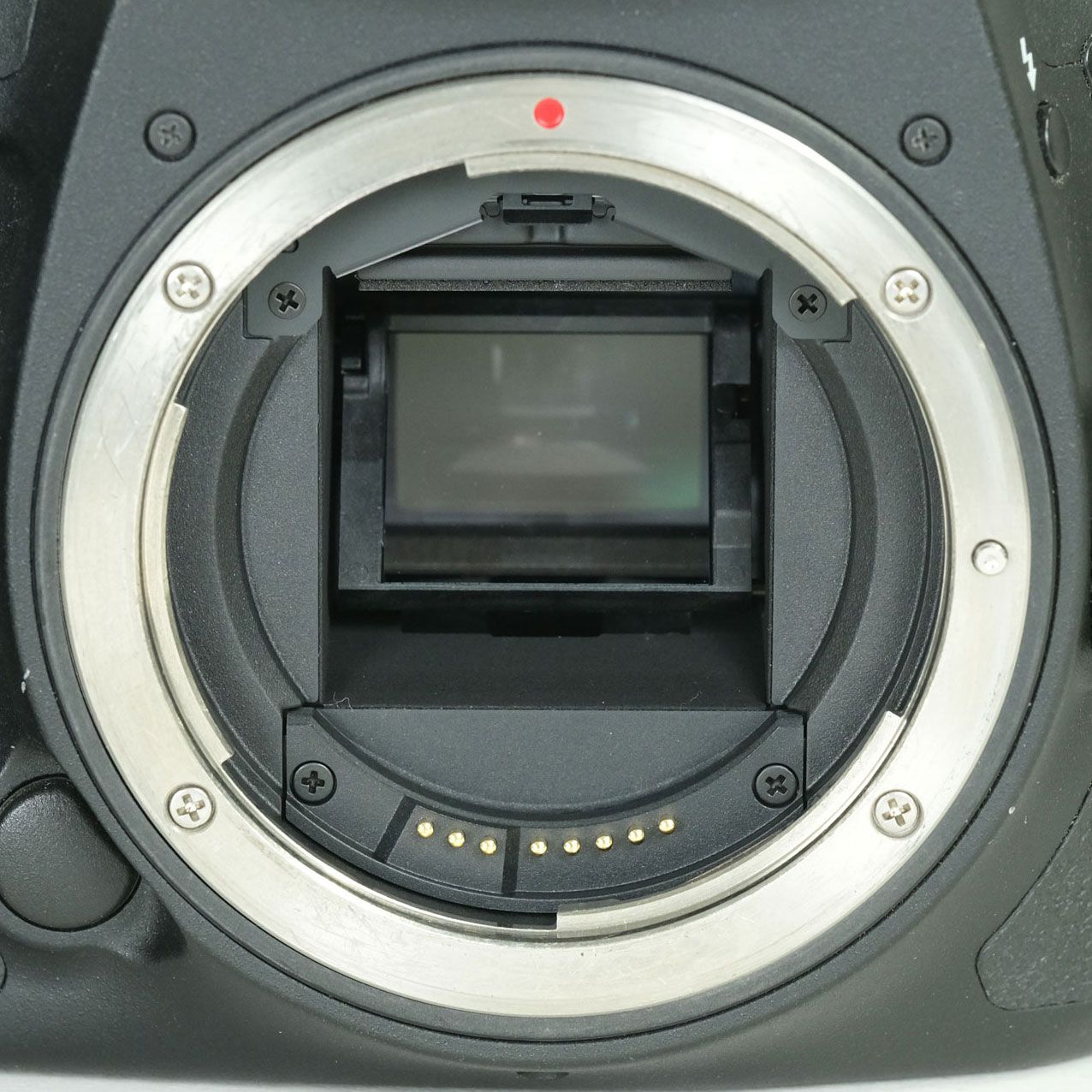 Canon Digital Slr Eos 7D Mark Ii Ef-S
