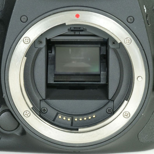 Canon Digital Slr Eos 7D Mark Ii Ef-S