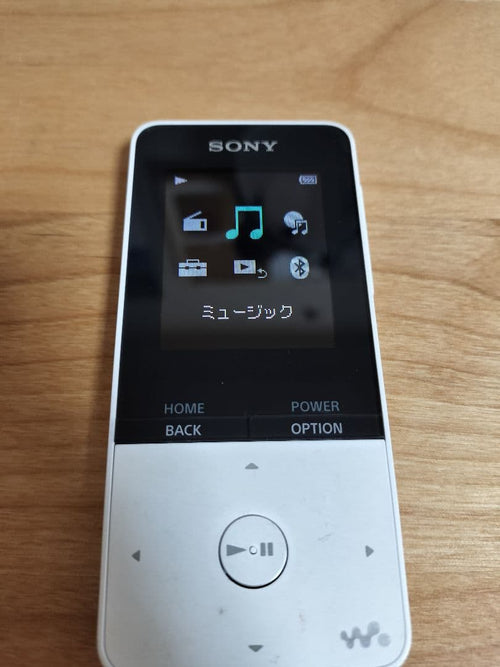 Sony Others Nw-S315 Usb