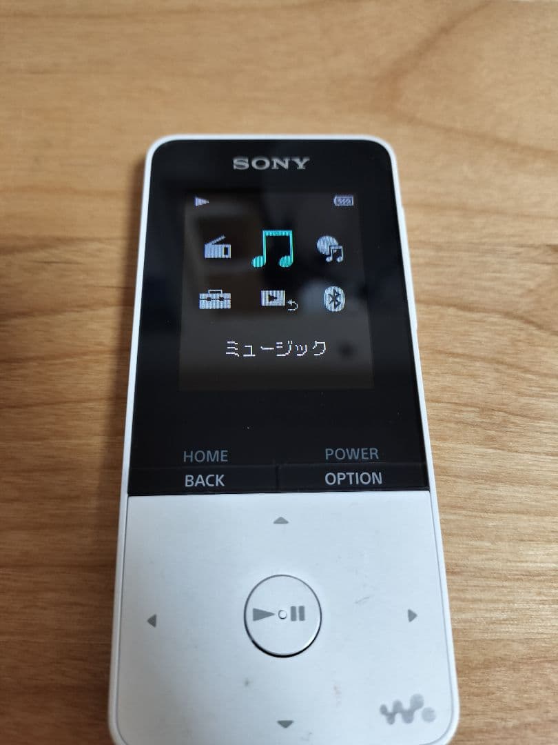 Sony Others Nw-S315 Usb