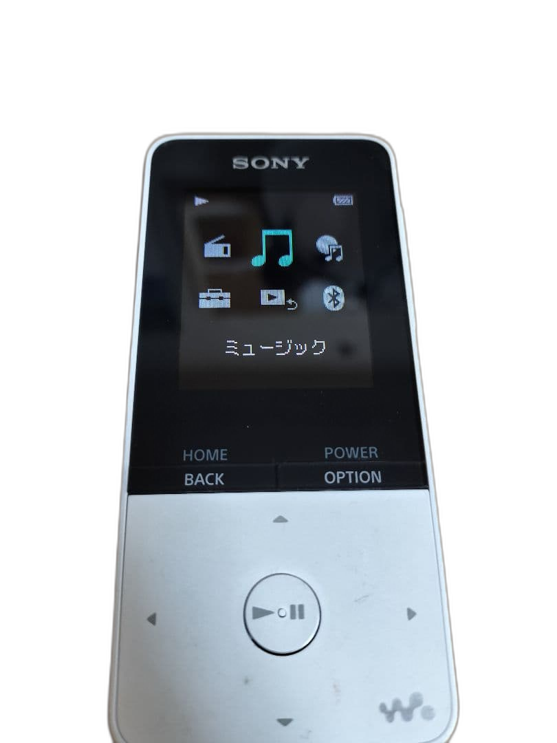 Sony Others Nw-S315 Usb