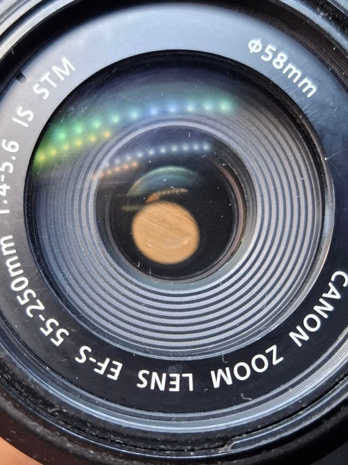Canon Zoom Lenses Ef-S 55-250Mm F4-5.6 Is Stm