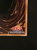 Yu-Gi-Oh! Ocg Duel Monsters (Japanese) 25Th