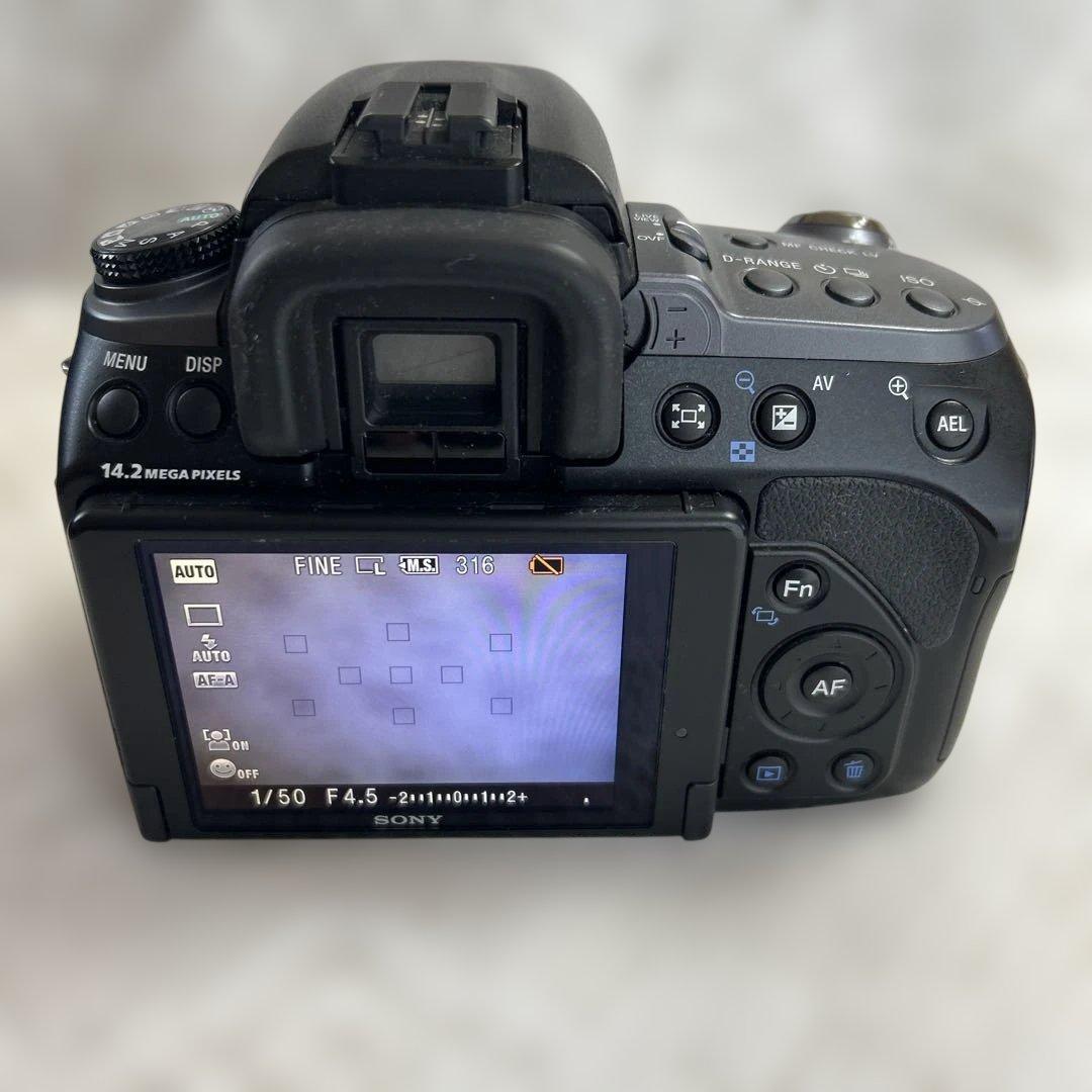 Sony Digital Slrs 550