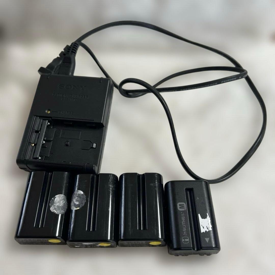 Sony Digital Slrs 550