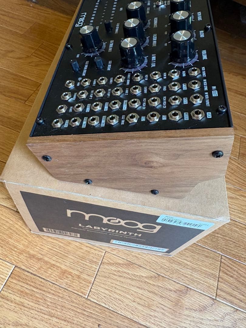 Moog Analog Synthesizers Labyrinth