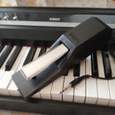 Korg Keyboard Electronic Piano Ds-1H