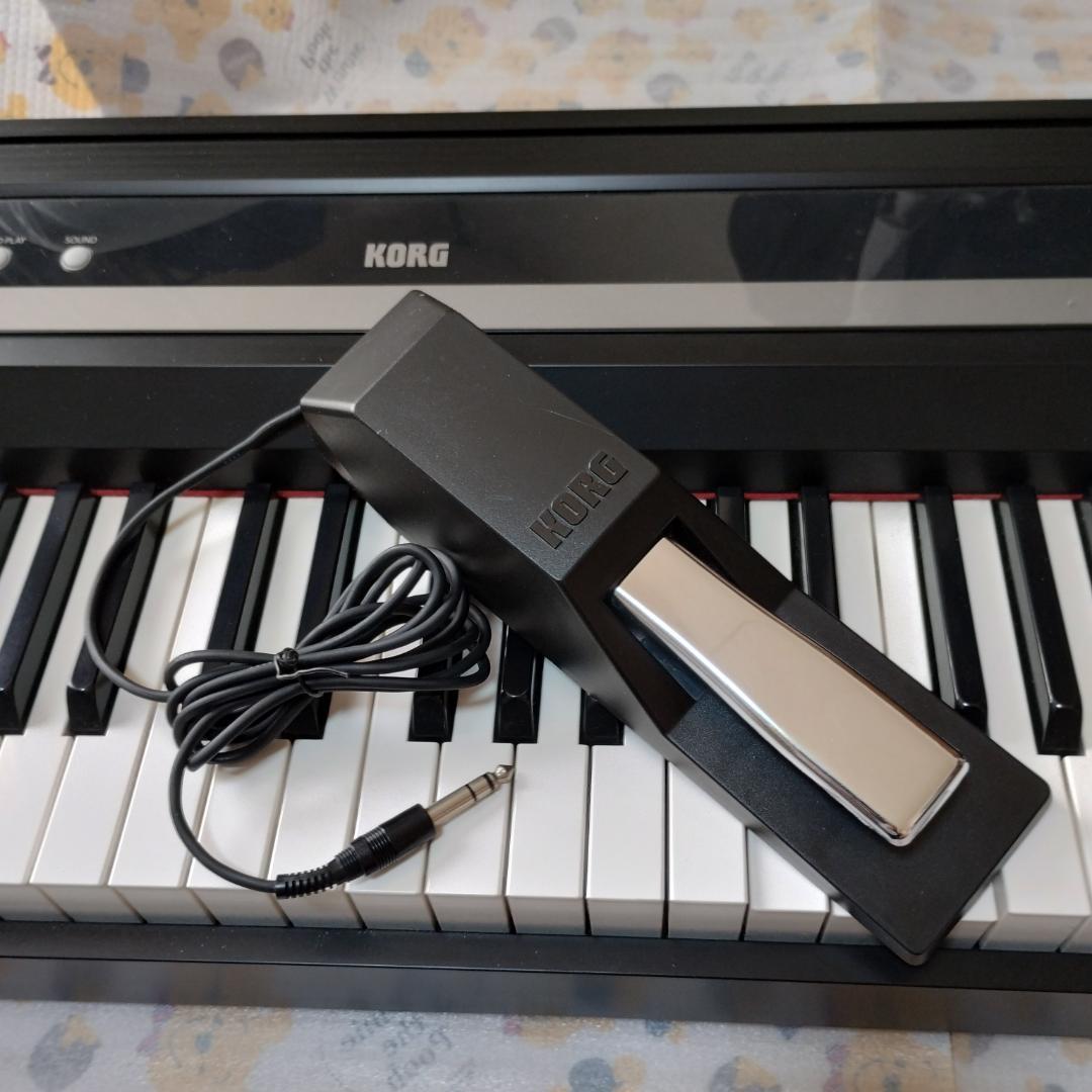 Korg Keyboard Electronic Piano Ds-1H