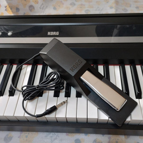 Korg Keyboard Electronic Piano Ds-1H