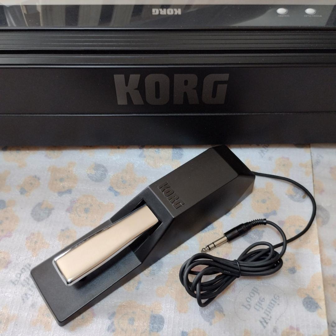Korg Keyboard Electronic Piano Ds-1H