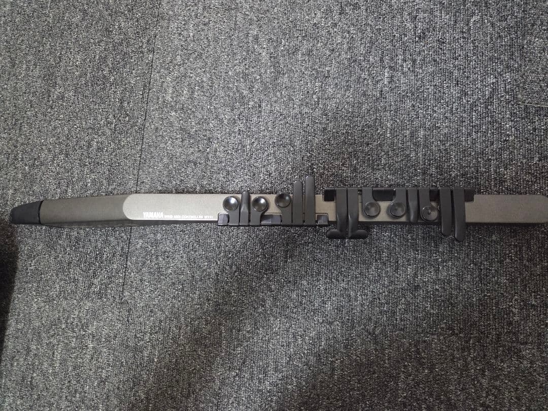 Other Yamaha Wx11 Wt11