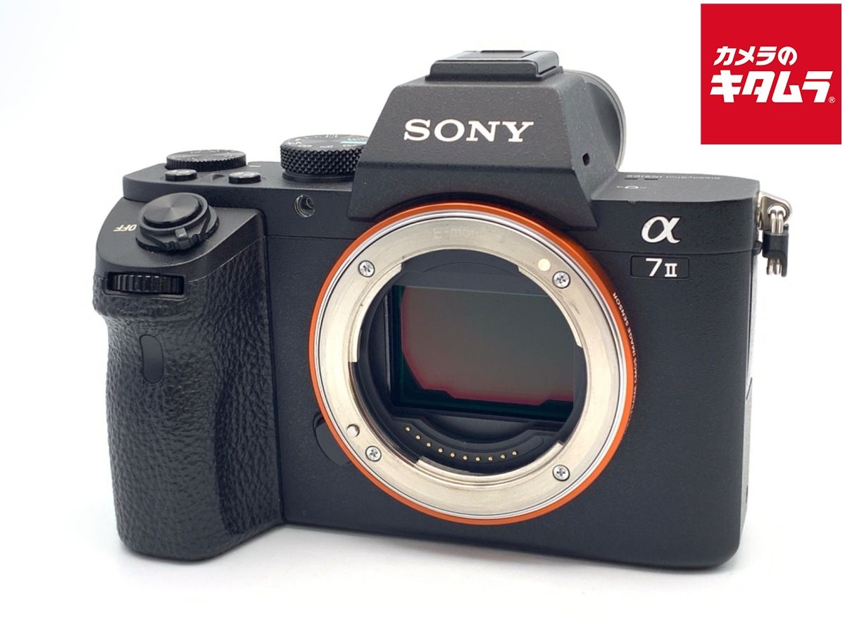 Mirrorless Interchangeable Lips 7Ii [Ilce-7M2]
