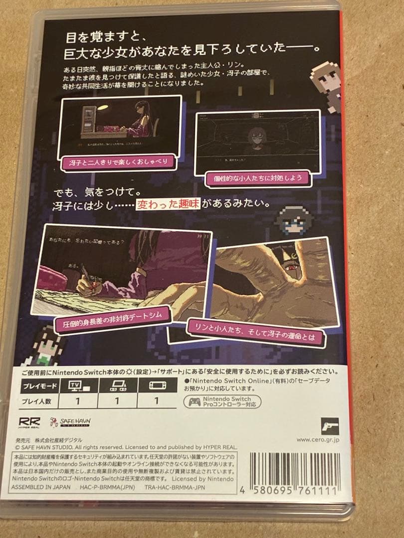 Games (Physical) Saeko Switch