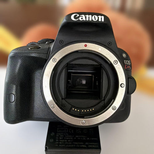 Canon Digital Slrs Eos Kiss X7