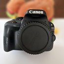 Canon Digital Slrs Eos Kiss X7