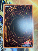 Yu-Gi-Oh! Ocg Duel Monsters (Foreign Languages)
