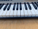 Roland Others Rs-9 64Voice Synthesizer