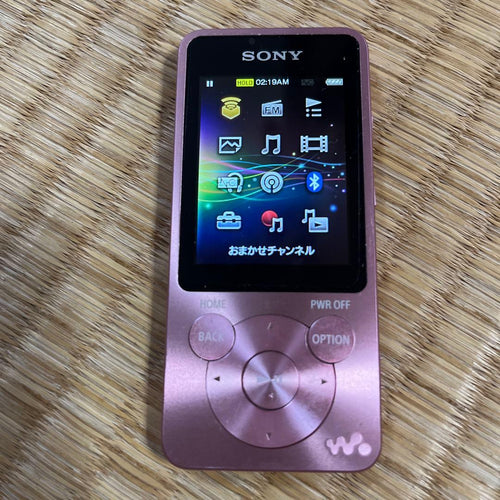 Sony Digital Audio Player Nw-S14