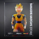 S.H.Figuarts Dragon Ball -Z