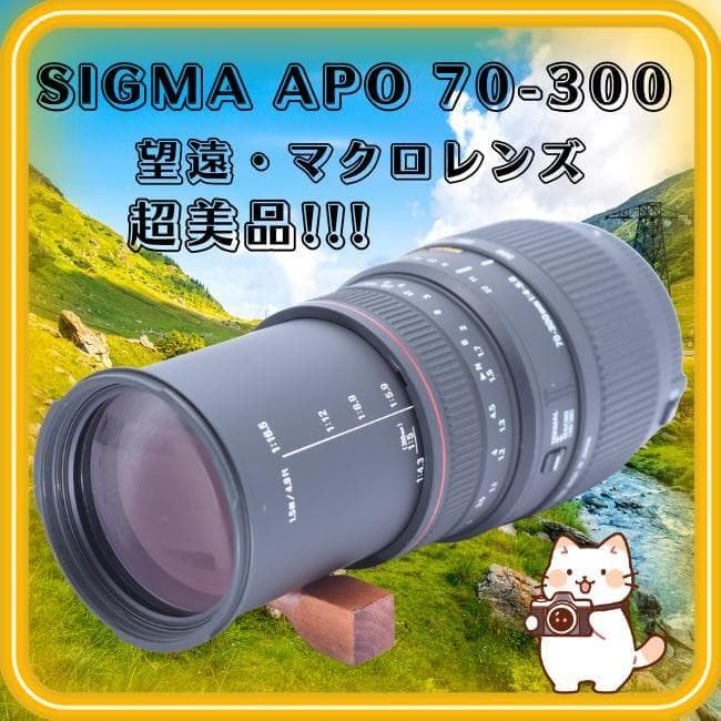 Lens (Zoom) Sigma Apo Dg 70-300Mm F4-5.6 Nikon