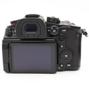 Panasonic Mirrorless Interchangeable Lips 502 Gh6L Dc-Gh6L 12308