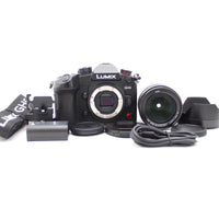 Panasonic Mirrorless Interchangeable Lips 502 Gh6L Dc-Gh6L 12308