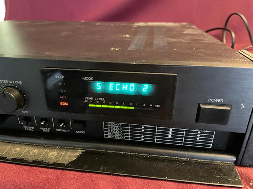 Recording Effector Roland Digital Space Echo Re-5
