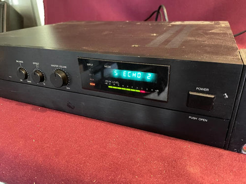 Recording Effector Roland Digital Space Echo Re-5
