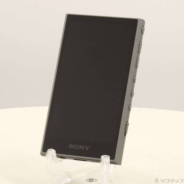 Sony Digital Audio Player Walkman A300 64Gb+Microsd Nw-A307(H) 348