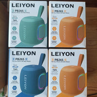 Wireless Speakers Leiyon Pb26S 4
