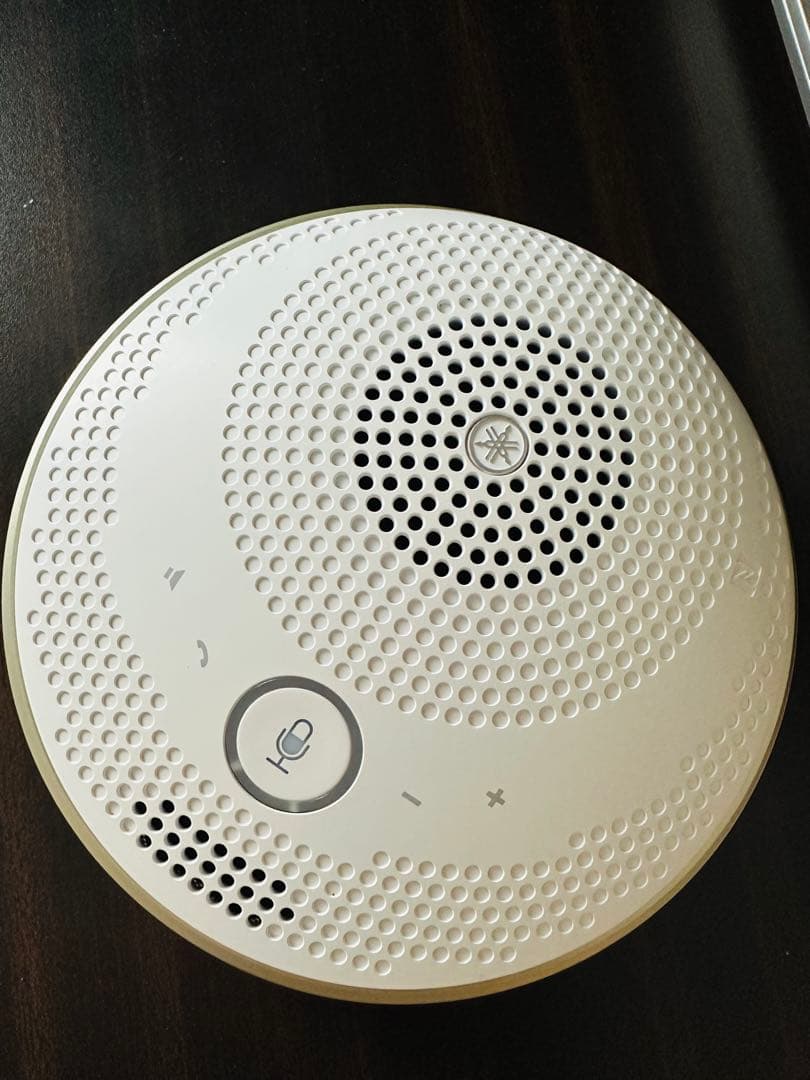 Yamaha Wireless Speakers Yvc-200