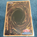 Yu -Gi -Oh! Ocg Duel Monsters 1
