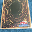 Yu -Gi -Oh! Ocg Duel Monsters 1