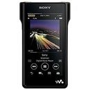 Digital Audio Player Sony Wm1 Nw-Wm1A B