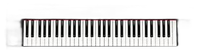 Analog Synthesizer Yamaha Piaggero( Np-11