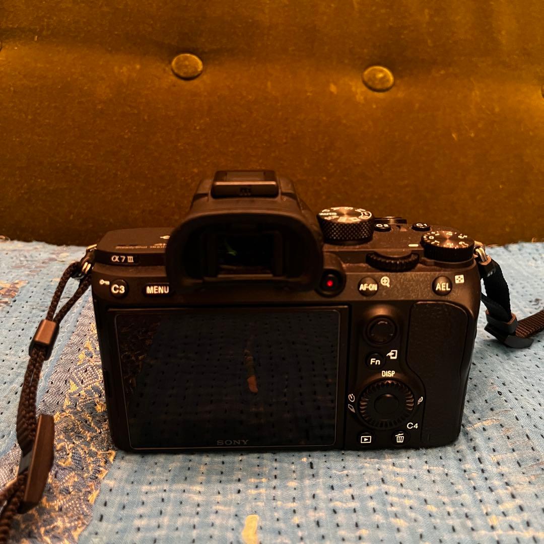 Sony Mirrorless Interchangeable Lens Cameras A7