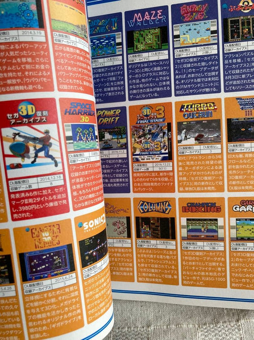 Game Capture Book 3D Maniax