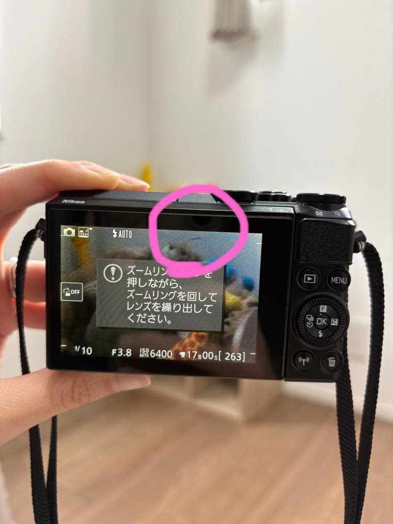 Nikon Mirrorless Interchangeable Lens Cameras J5