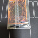 Yu-Gi-Oh! Ocg Duel Monsters (Japanese)
