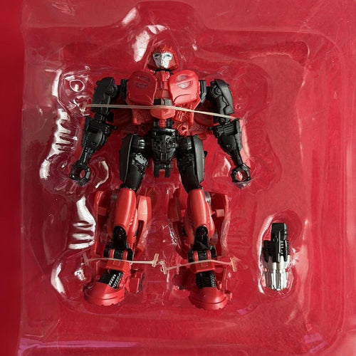 Others 4 6